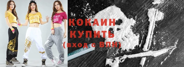 стафф Арсеньев