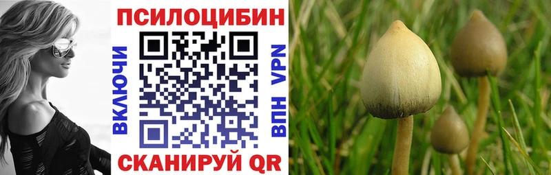 Галлюциногенные грибы Psilocybine cubensis  ссылка на мегу ССЫЛКА  Магадан  наркота 